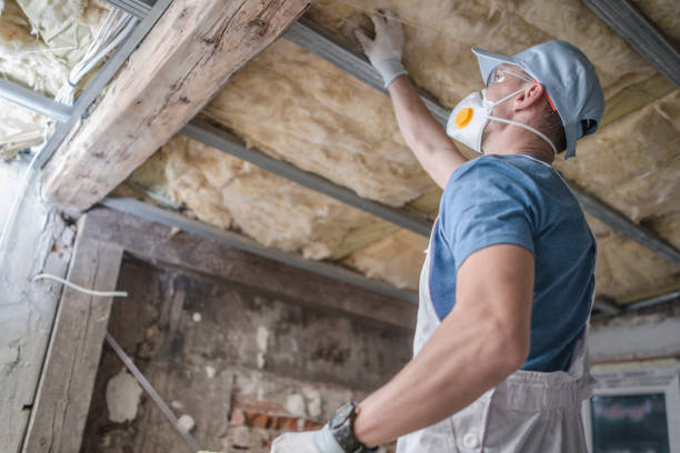 Best Residential Insulation in Syracuse, UT